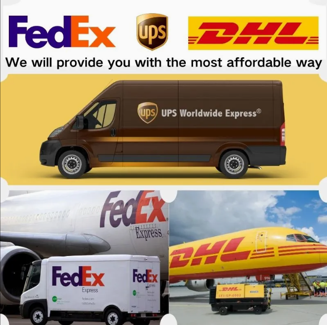 1743493911488.jpg