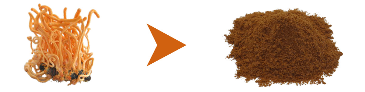 1744602815846.jpg